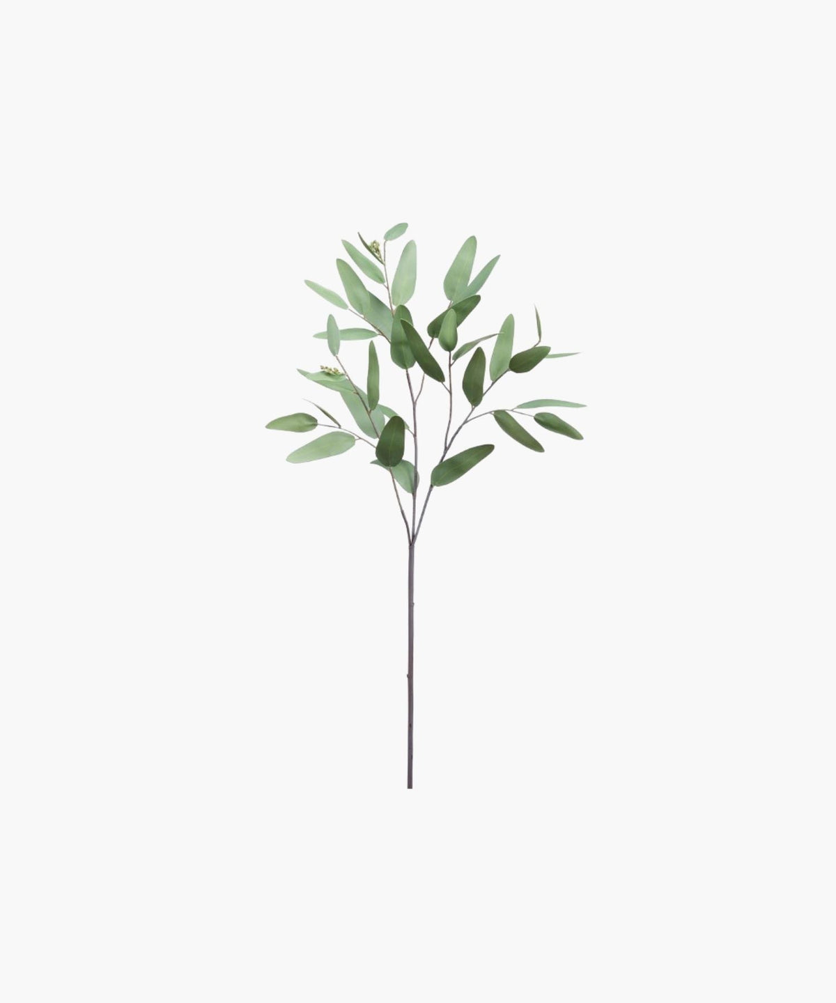 Eucalyptus Spray, 31"
