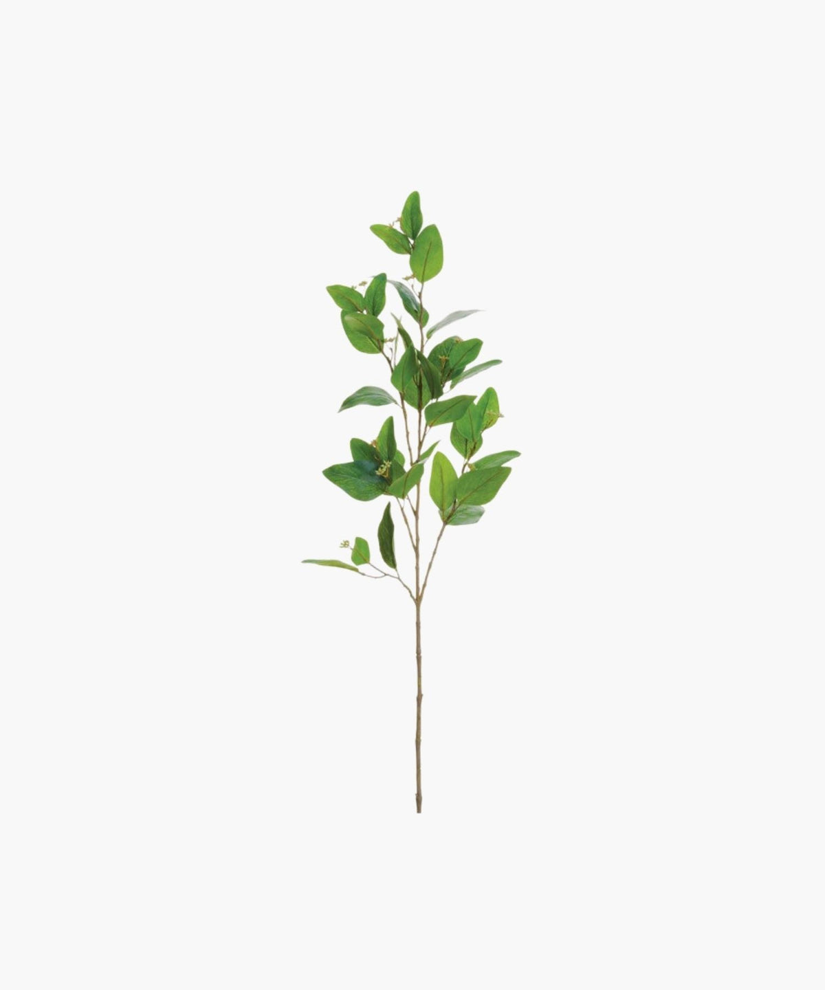 Eucalyptus Leaf, 45"