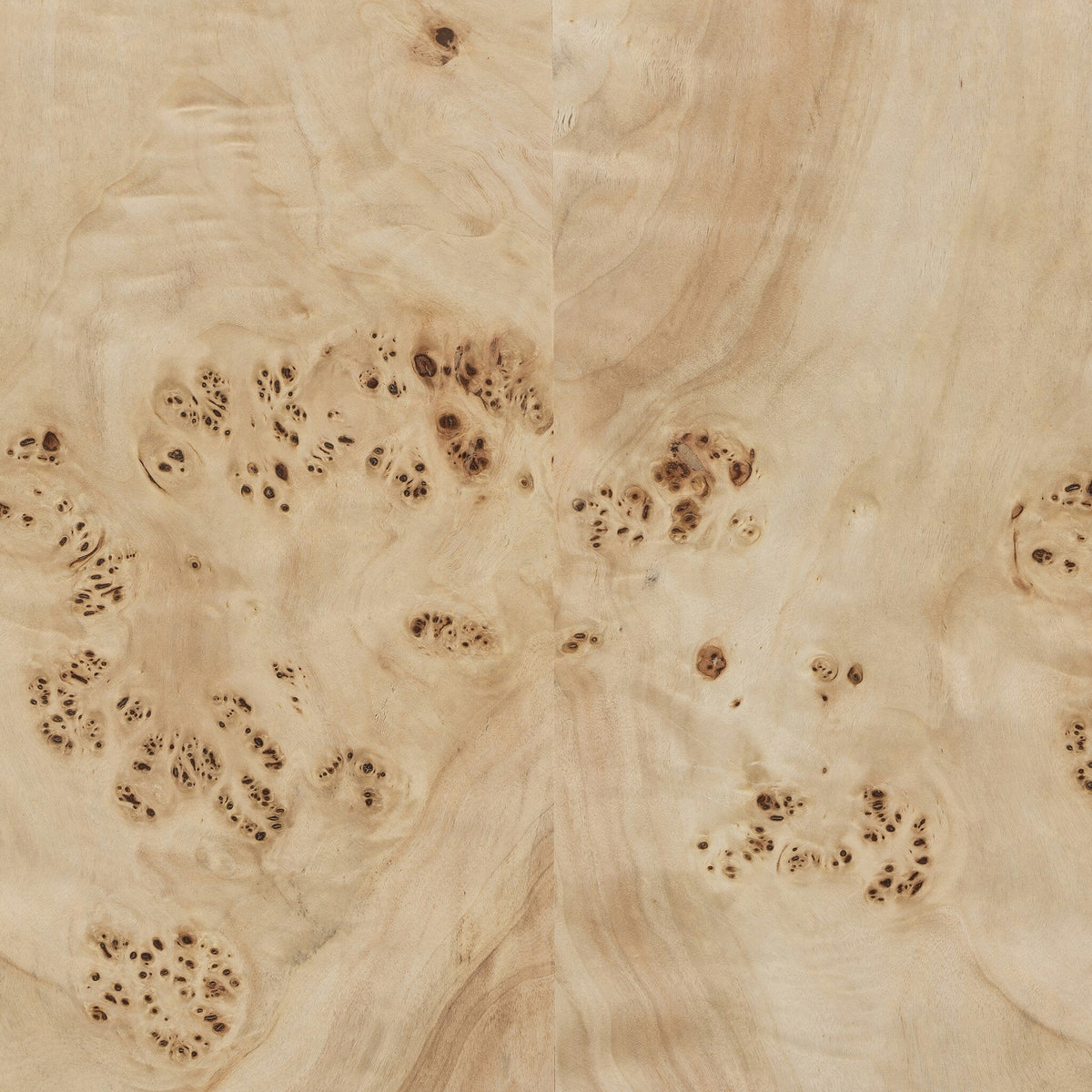 Elena Coffee Table