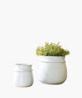 Ferris Planters, Set of 2