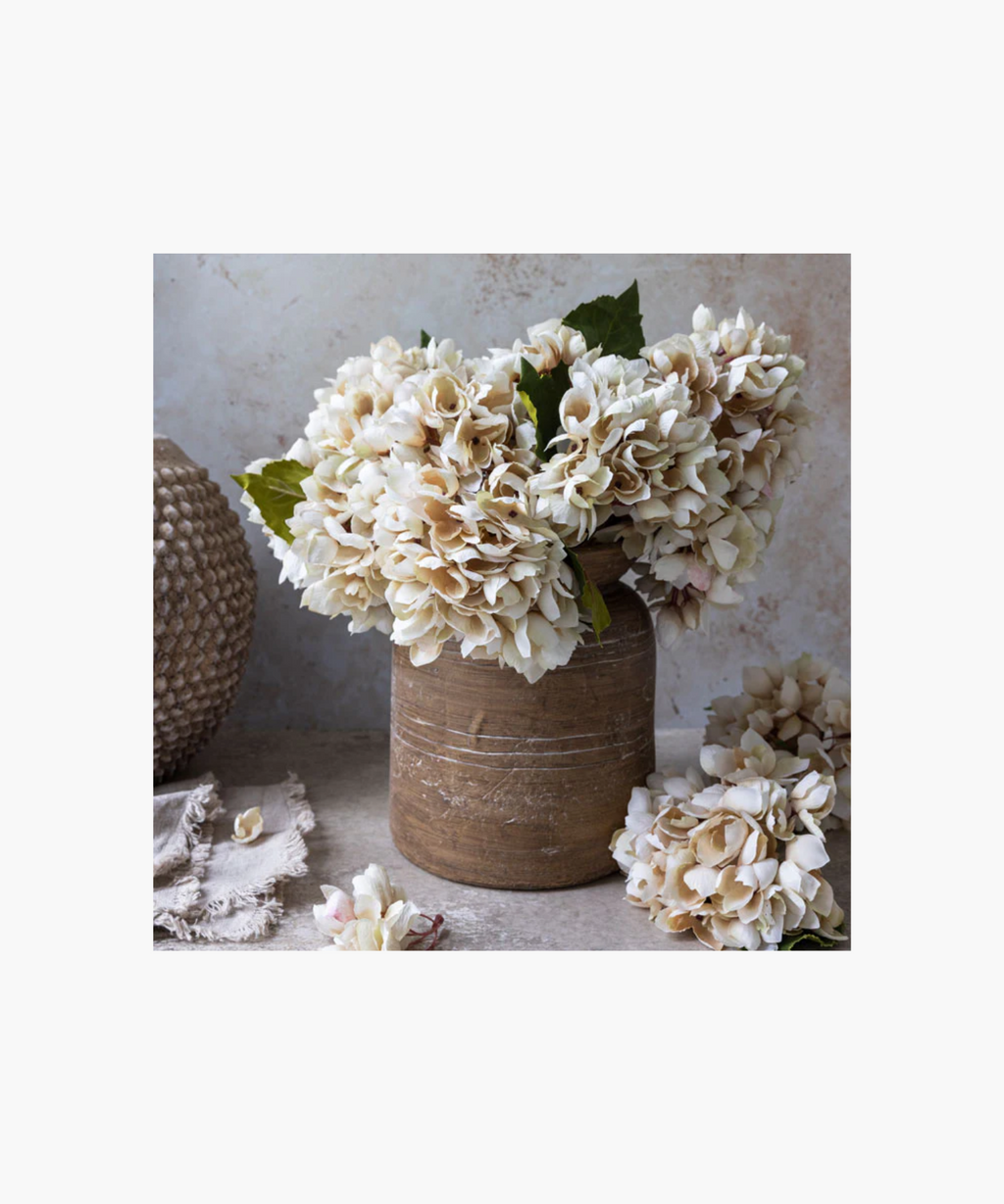 Hydrangea Morning Mist Stem