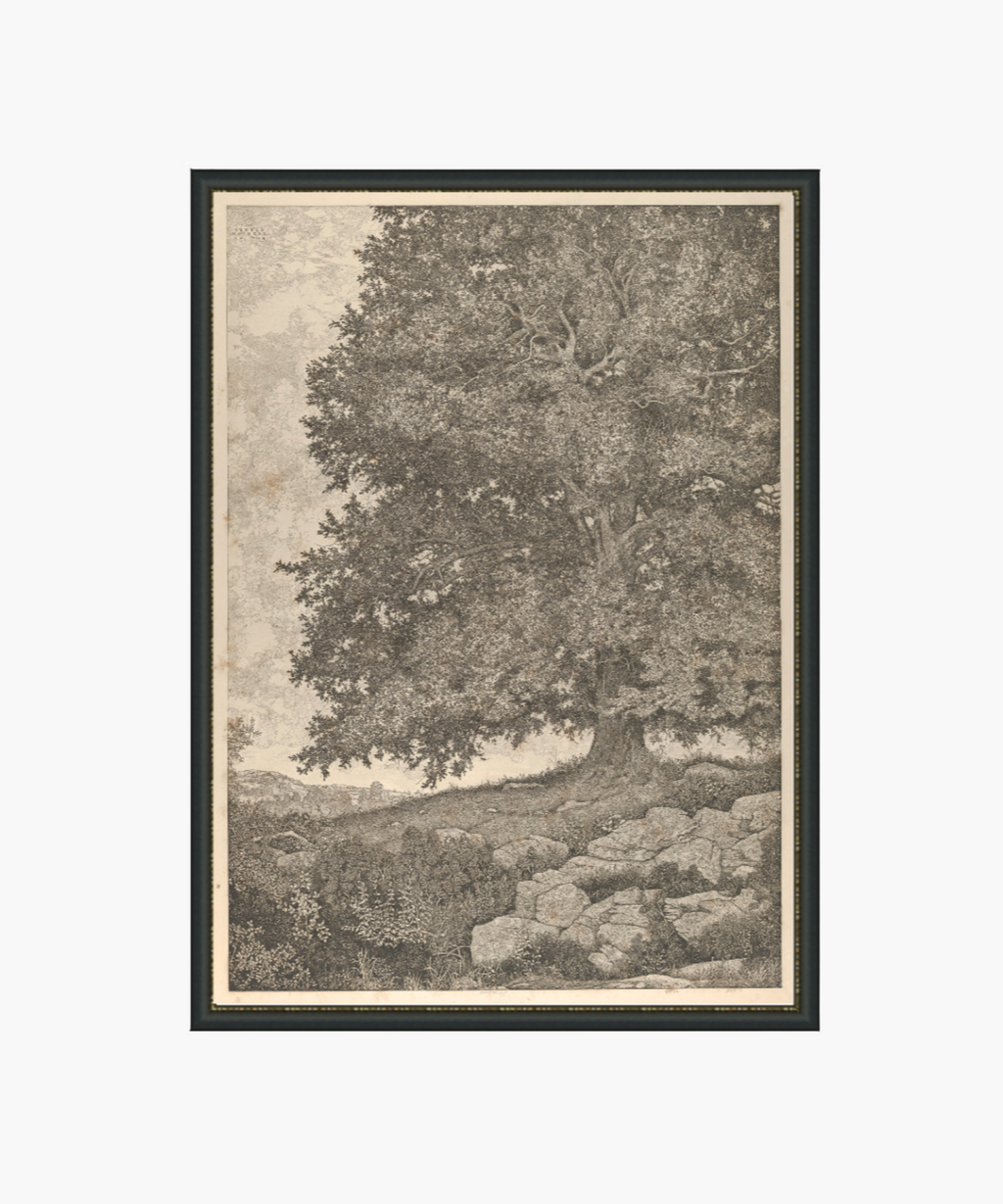 Oak Hill