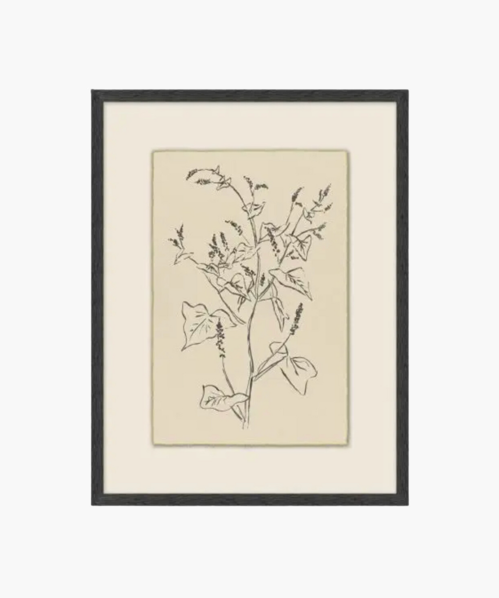 Sprouting Vine