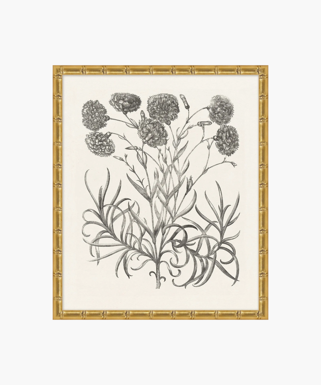 Botanical Study No. 14