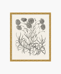 Botanical Study No. 14