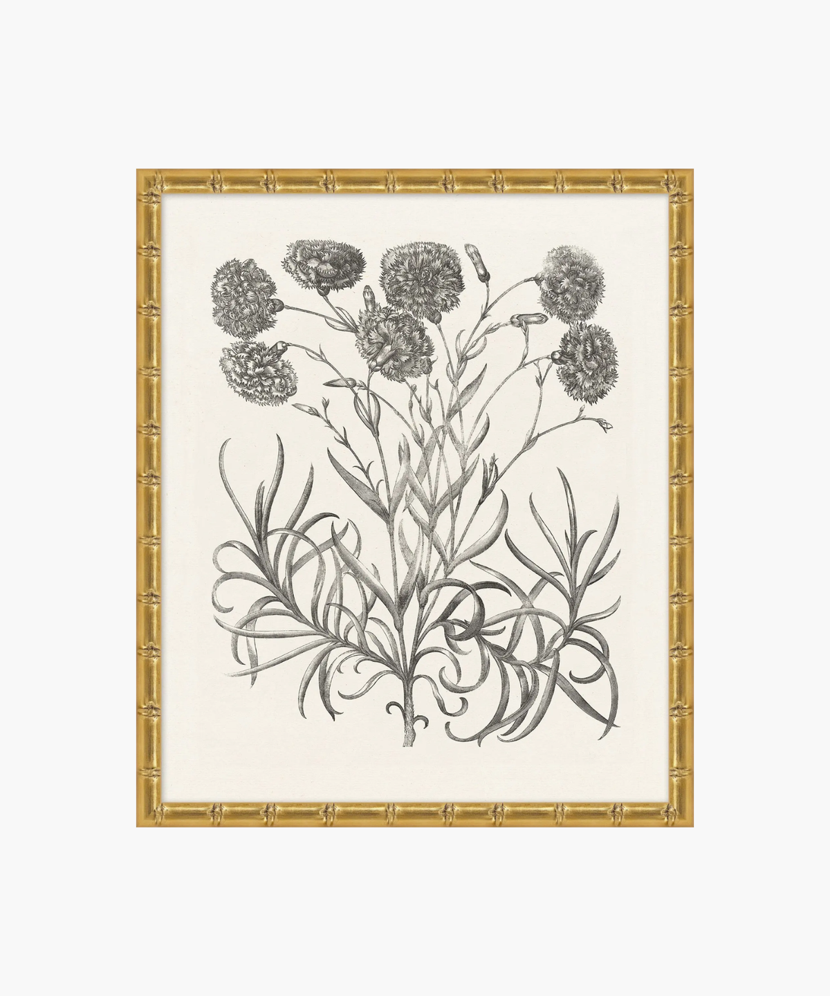 Botanical Study No. 14